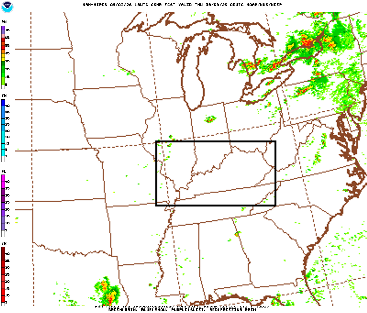 NAM Radar forecast